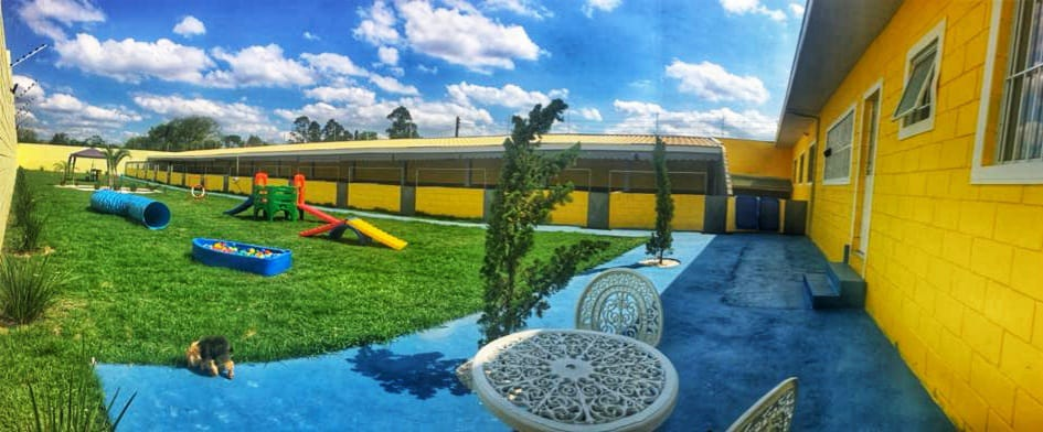 imagem_2023-09-18_165400486