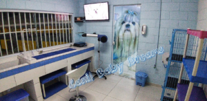 imagem_2023-09-18_165451147