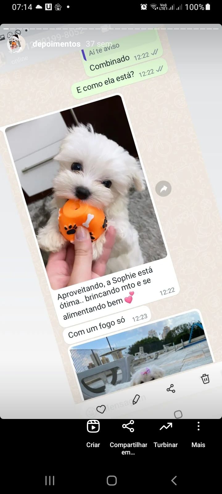 WhatsApp Image 2023-09-18 at 15.12.53 (1)