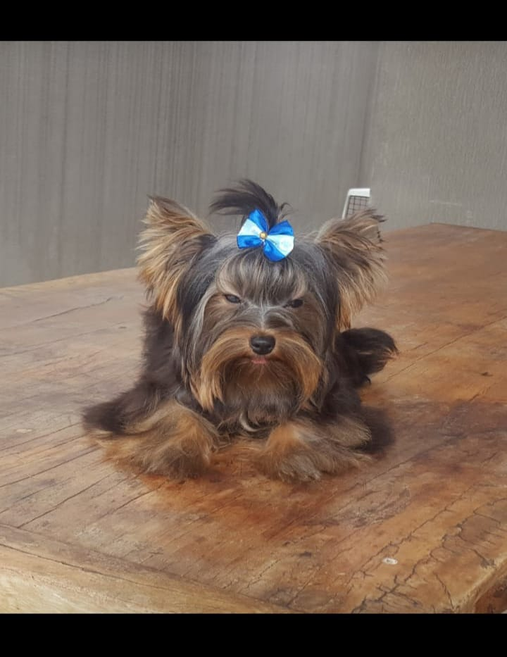 imagem_2023-09-20_104118899