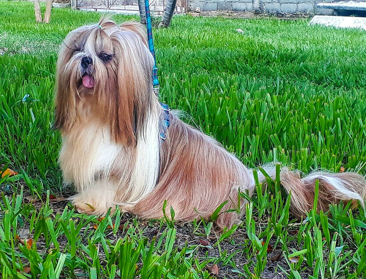 imagem_2023-09-20_104259914