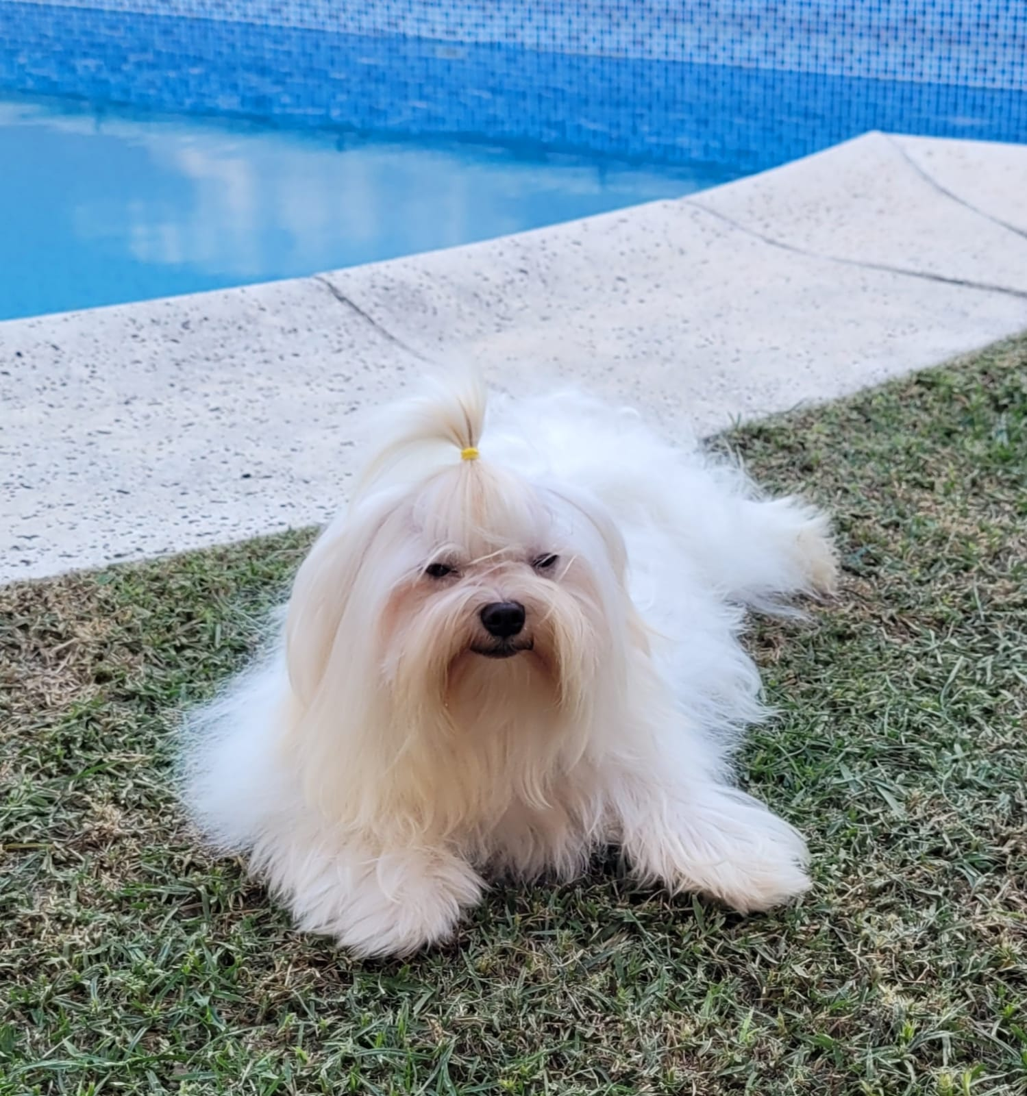 imagem_2023-09-20_104518114