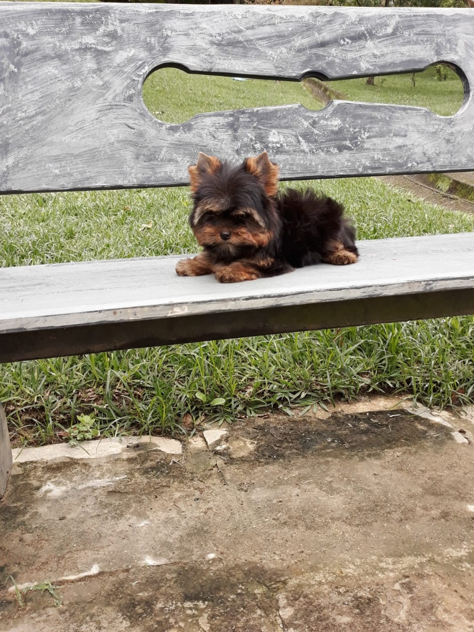 imagem_2023-09-20_104930720