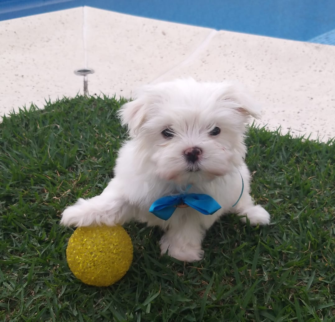 imagem_2023-09-20_105027218