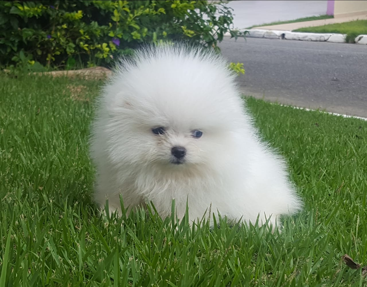 imagem_2023-09-20_105058053